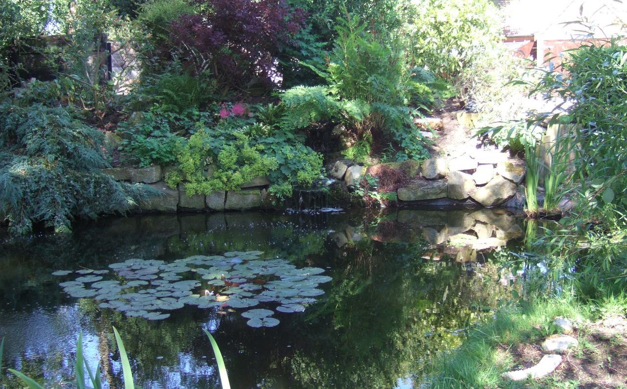Lime Trees Farm Bed & Breakfast Bicester Dış mekan fotoğraf