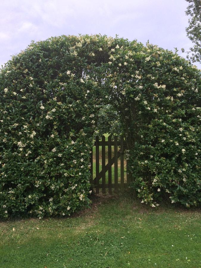 Lime Trees Farm Bed & Breakfast Bicester Dış mekan fotoğraf